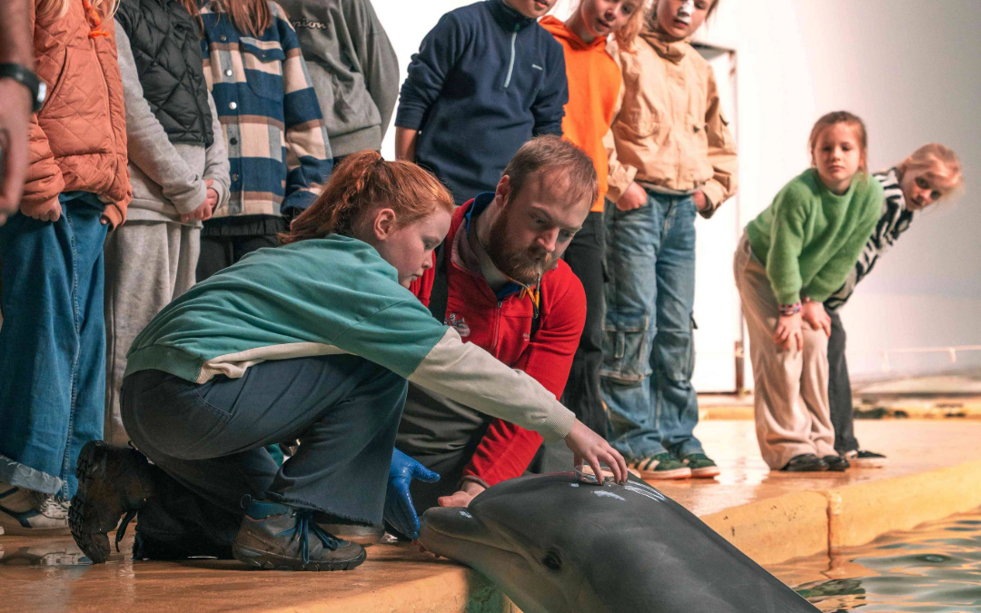 Hoe ‘Kids on the Job’ kinderen laat groeien — en studenten ook