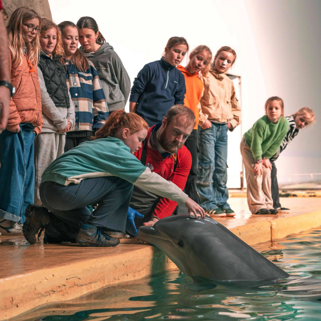 VIVES Kids on the Job - een service-learning project van de VIVES Hogeschool